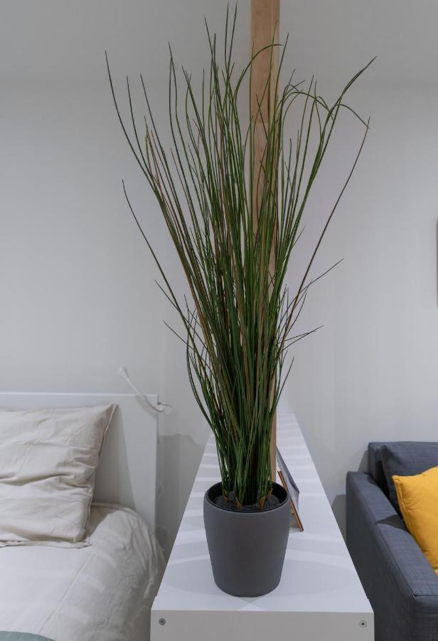 Appartement ※Perrier Menthe※ Hyper-Centre Et Tranquillite à Clermont-Ferrand Extérieur photo